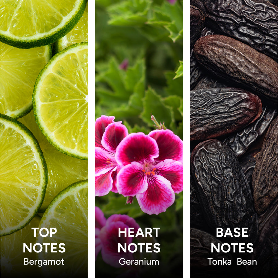 AROMATIC BERGAMOT