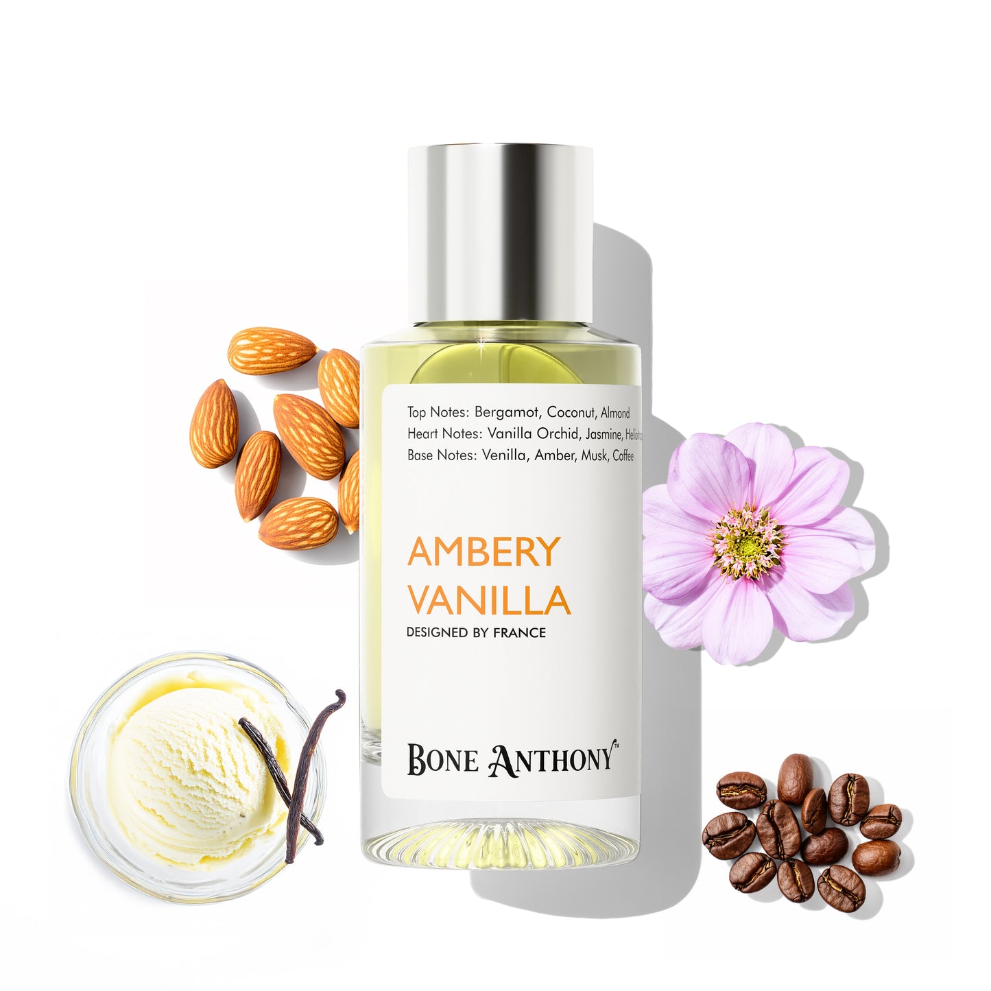 Ambery Vanilla Luxury Perfume | Rich Creamy Vanilla Fragrance | with Bergamot & Jasmine Scent, Long Lasting Eau de Parfum with 35% Oil Concentration - 50 ml (For Women)
