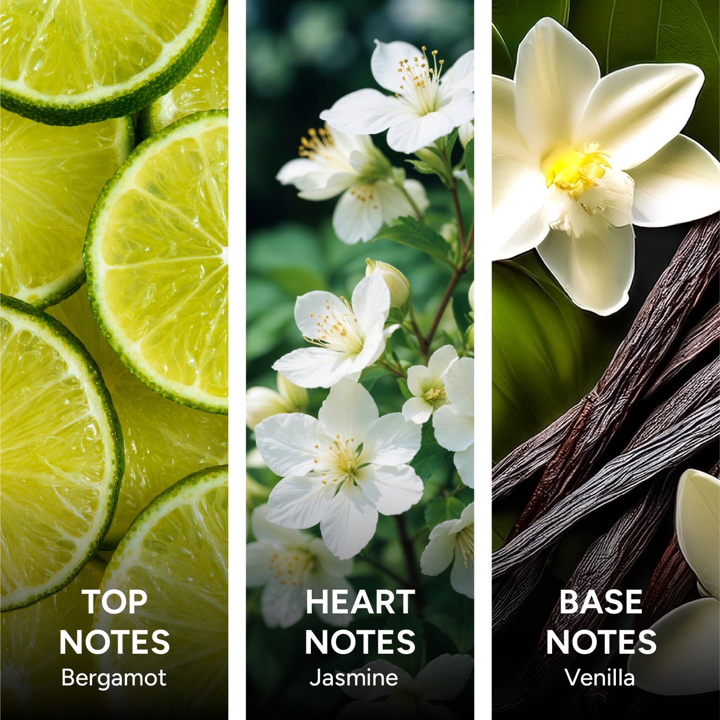 Ambery Vanilla Luxury Perfume | Rich Creamy Vanilla Fragrance | with Bergamot & Jasmine Scent, Long Lasting Eau de Parfum with 35% Oil Concentration - 50 ml (For Women)