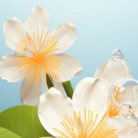Orange Blossom
