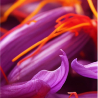 Saffron