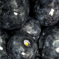 Blackcurrant