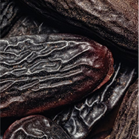 Tonka Bean
